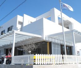 ポークランチョンミート