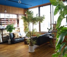 宮古島ゲストハウスTENOWAYA てのわや