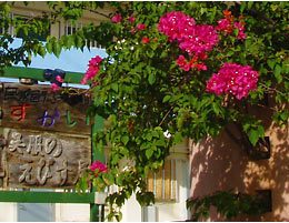 宮古島 民宿すかい（ペンションすかい)