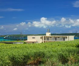 オーシャンヴィラ ゆにの浜